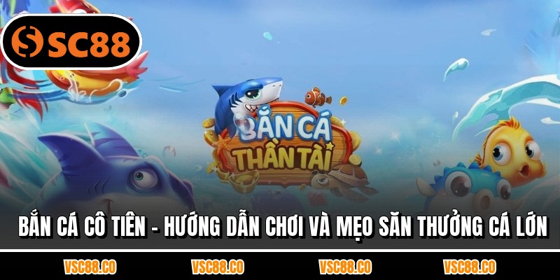 Bắn Cá Cô Tiên - Hướng Dẫn Chơi Và Mẹo Săn Thưởng Cá Lớn