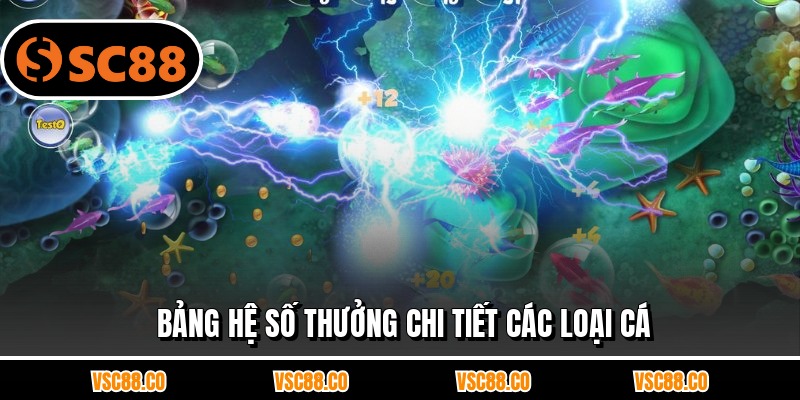 Bảng hệ số thưởng chi tiết các loại cá