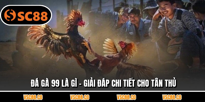 Đá Gà 99 Là Gì - Giải Đáp Chi Tiết Cho Tân Thủ