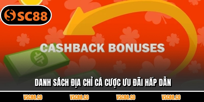 Danh sách địa chỉ cá cược ưu đãi hấp dẫn