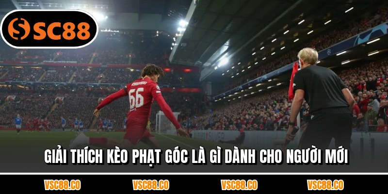 Giải thích kèo phạt góc là gì dành cho người mới