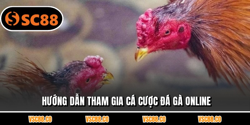 Hướng dẫn tham gia cá cược đá gà online