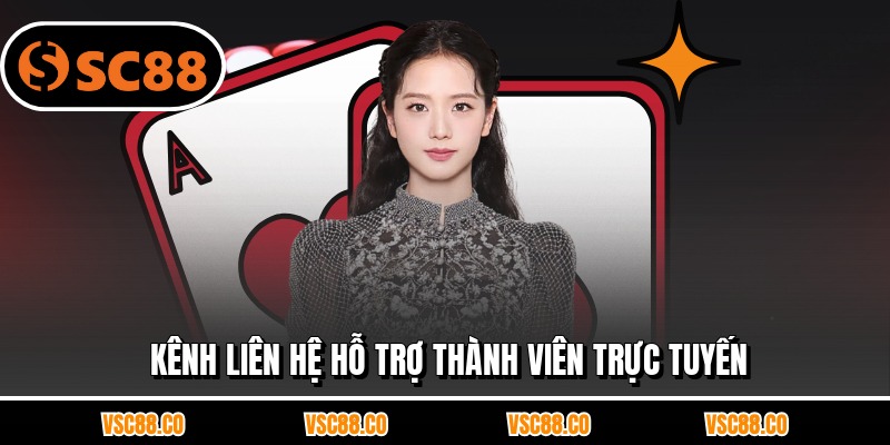 Kênh liên hệ hỗ trợ thành viên trực tuyến