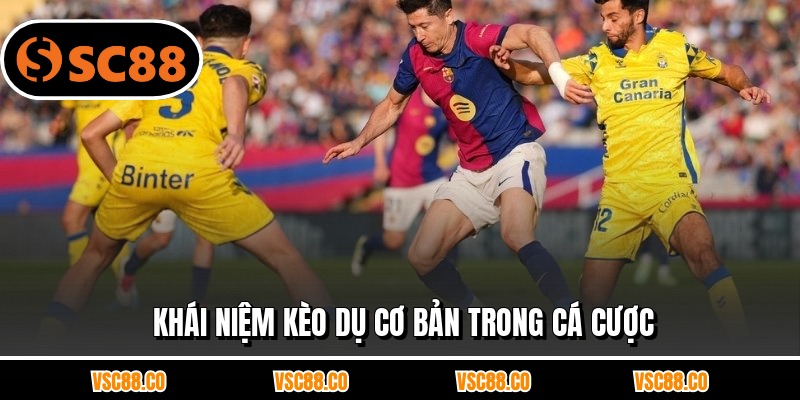 Khái niệm kèo dụ cơ bản trong cá cược