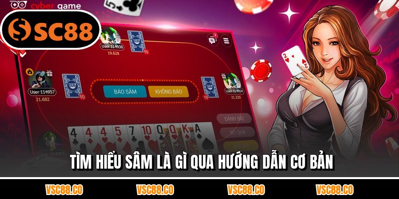 Tìm hiểu sâm là gì qua hướng dẫn cơ bản