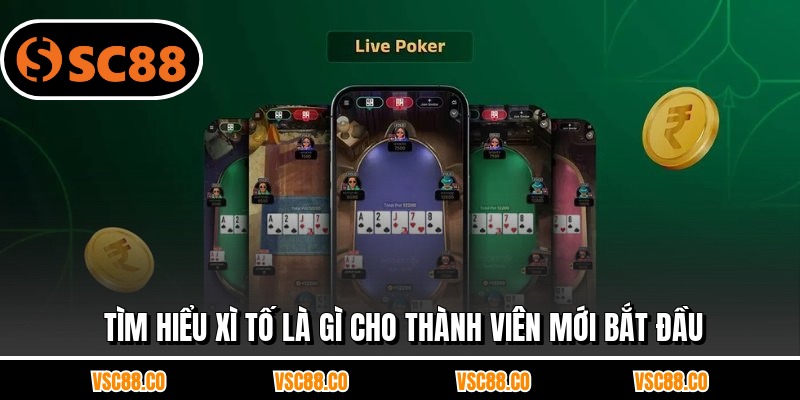 Tìm hiểu xì tố là gì cho thành viên mới bắt đầu