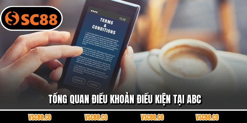 Tổng quan điều khoản điều kiện tại ABC