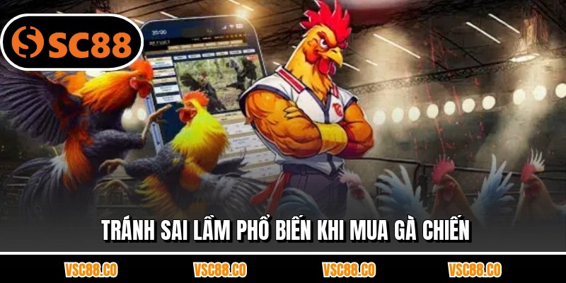 Tránh sai lầm phổ biến khi mua gà chiến