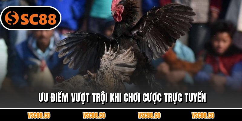 Ưu điểm vượt trội khi chơi cược trực tuyến